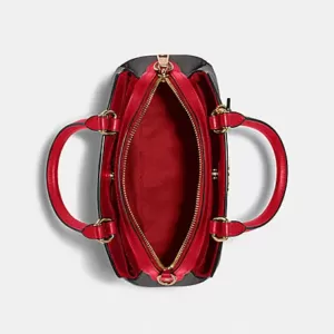 Coach Mini Lillie Carryall in Signature Canvas Brown Red