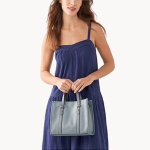 Fossil Kingston Satchel