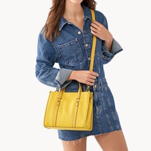 Fossil Kingston Satchel