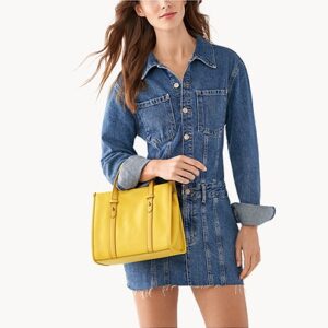 Fossil Kingston Satchel