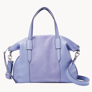 Fossil Skylar Satchel