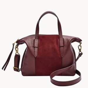 Fossil Skylar Satchel