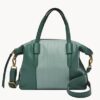 Fossil Skylar Satchel