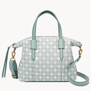 Fossil Skylar Satchel
