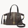 Fossil Skylar Satchel