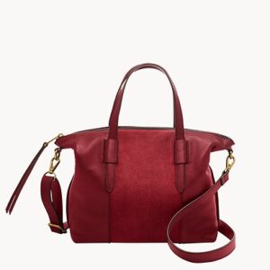 Fossil Skylar Satchel