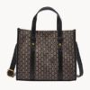 Fossil Kingston Satchel
