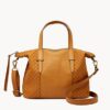 Fossil Skylar Satchel