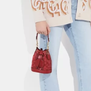 Coach Mini Dempsey Bucket Bag In Signature Jacquard With Stripe And Coach Patch Red Apple Multi