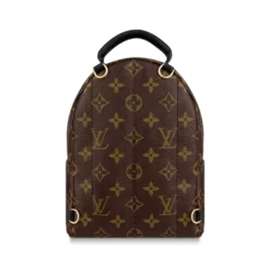 Louis Vuitton Palm Springs Monogram Mini Backpack Brown