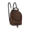 Louis Vuitton Palm Springs Monogram Mini Backpack Brown