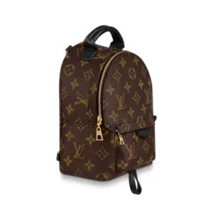 Louis Vuitton Palm Springs Monogram Mini Backpack Brown