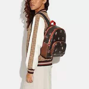 Coach Court Backpack In Signature Canvas With Hedgehog Print Brown Black Multi