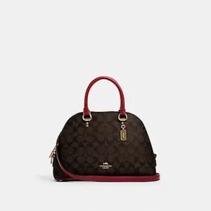 coach Katy Satchel In Signature Canvas Brown Red